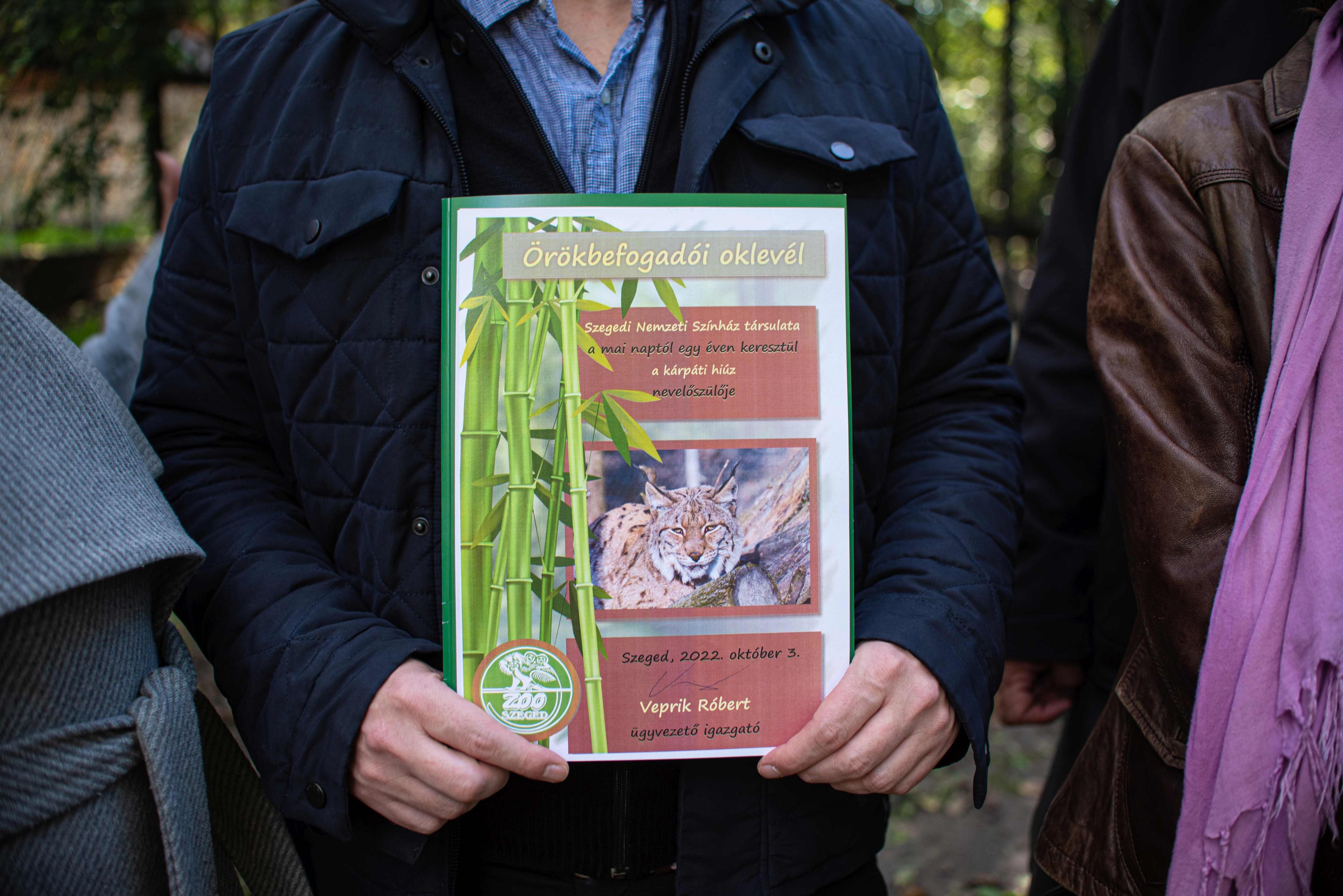 Színházi macska lett a vadasparki hiúz, aki nevet is kapott: „Szólíts, kérlek, Móricnak!” 2 Színházi macska lett a vadasparki hiúz, aki nevet is kapott: „Szólíts, kérlek, Móricnak!” 2