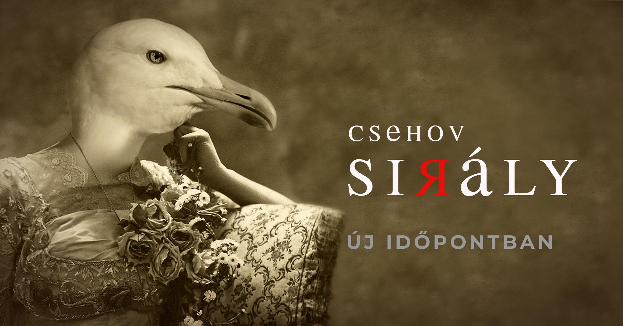 Új időpontban a Sirály hír képe Új időpontban a Sirály hír képe