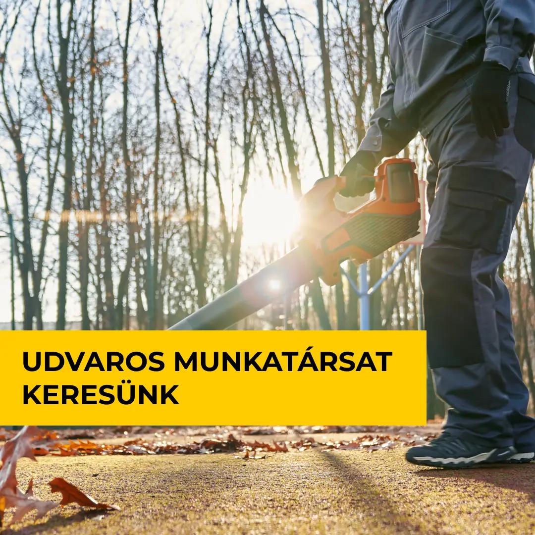 Udvaros munkatársat keresünk