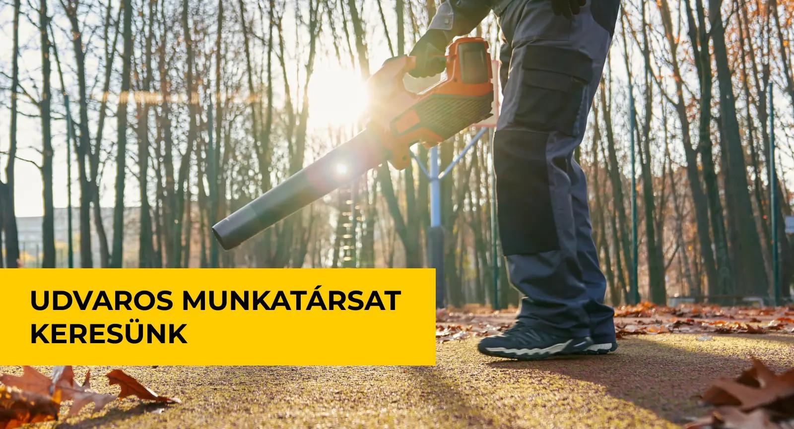 Munkatársat keresünk! hír képe Munkatársat keresünk! hír képe