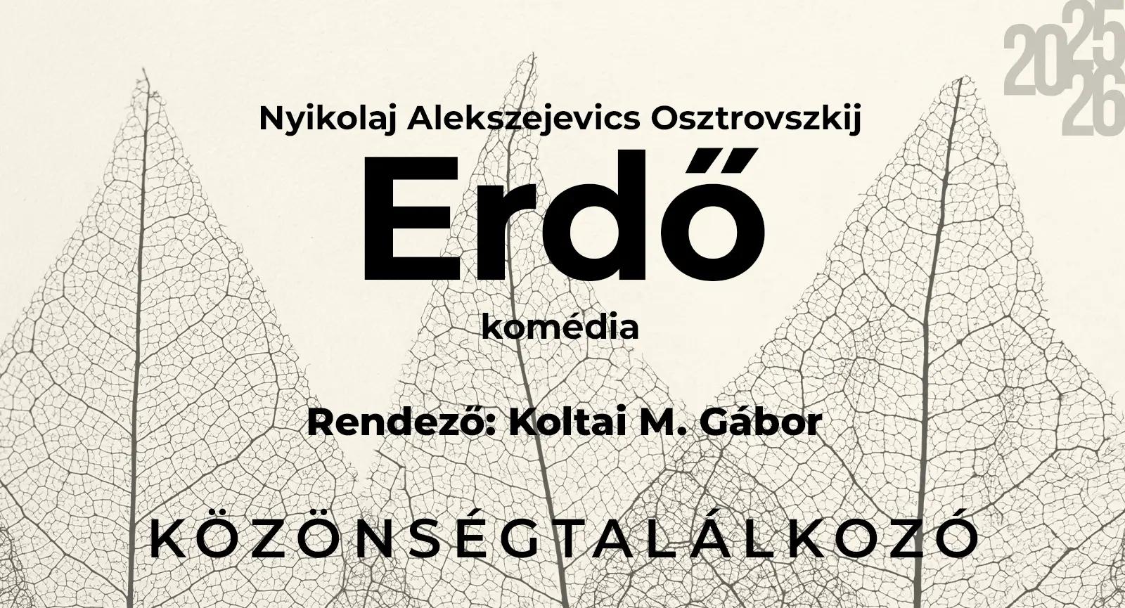 Osztrovszkij: Erdő - közönségtalálkozó hír képe Osztrovszkij: Erdő - közönségtalálkozó hír képe