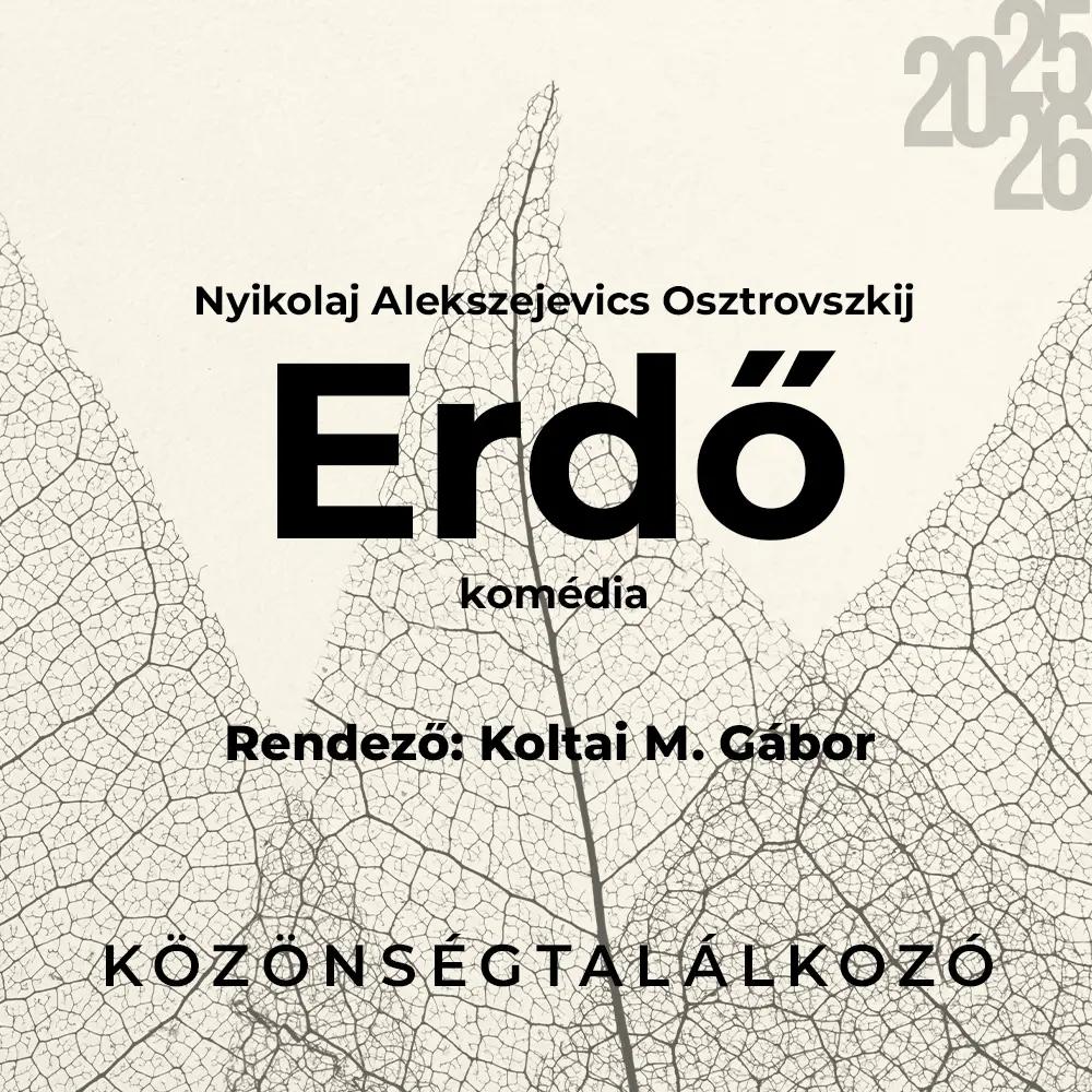Osztrovszkij: Erdő - közönségtalálkozó hír képe Osztrovszkij: Erdő - közönségtalálkozó hír képe