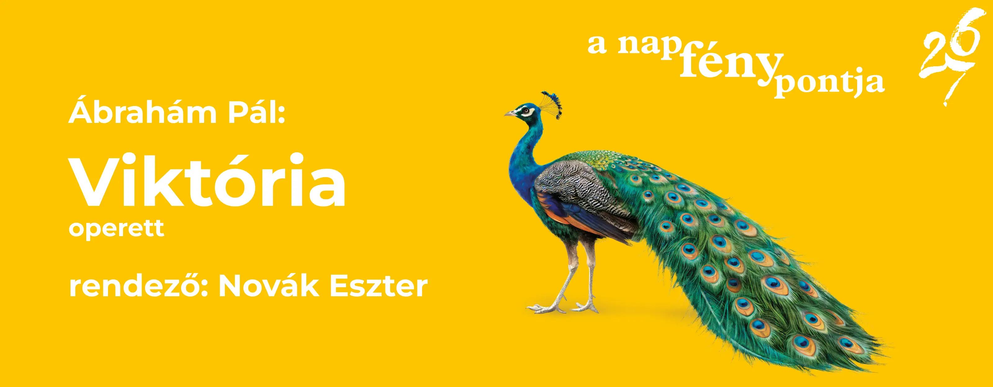 Viktória program képe Viktória program képe