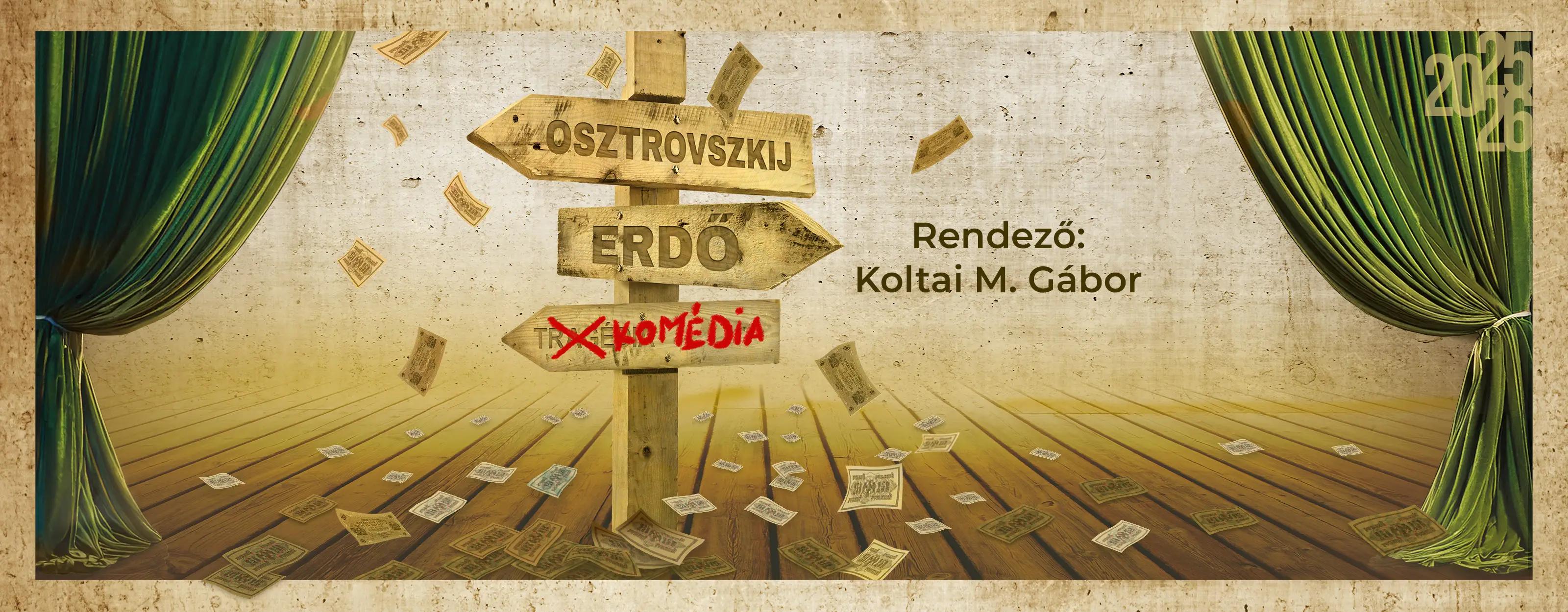 Erdő program képe Erdő program képe